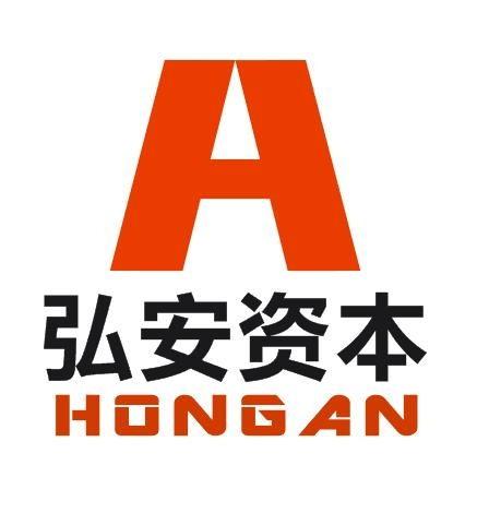 南(nan)京(jing)弘安投資(zi)管理顧問有(you)限公司(si) 專(zhuan)業資(zi)產(chan)管理的領航(hang)者